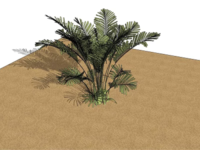 Garden Landscape Design Featuring Lush Tropical Palm Plant Greenery 3d model