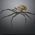 3D Rendered Spider With Detailed Orange Yellow Striped Body And Black Legs With Orange Spots