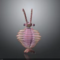 Pink Insect Like Creature 3D Model with Long Antennae Segmented Body and Wing Structures