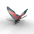 Modern Butterfly 3d model