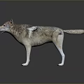Realistic Wolf 3D Model Game Movie Character with Standing Pose Brown Gray Fur