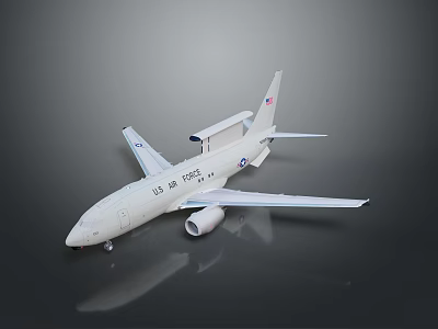 US Navy Aircraft Model With Radar Dome And Tail Insignia 3d model