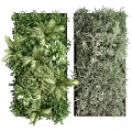 Decorative Green Plant Wall Showcasing Various Plant Species And Vertical Garden Design