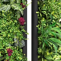 Decorative Vertical Living Plant Wall Designs with Various Green Plants and Foliage