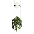 Modern hanging basket green plant hanging basket chandelier 3d model