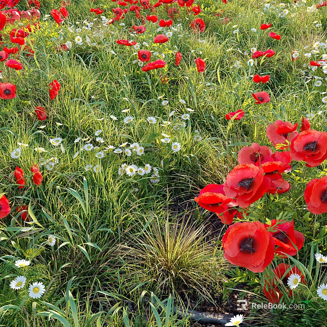Vibrant Bushes Surrounded by Red Poppies White Daisies and Green Grass in Lush Meadow 3d model 