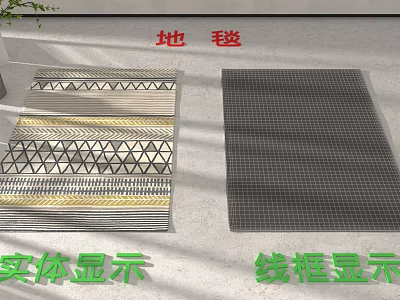 Floor With Various Carpet Samples Showing Solid And Wireframe Display Types 3d model