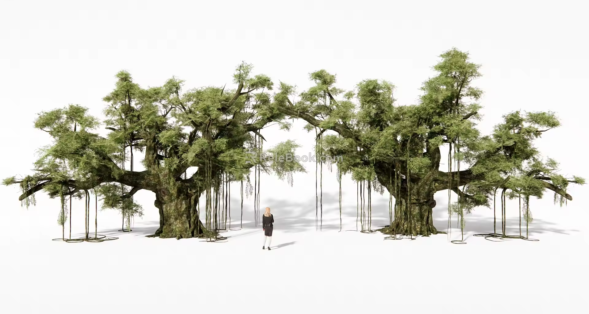 Banyan tree, ancient tree, towering tree, landscape tree 3d model