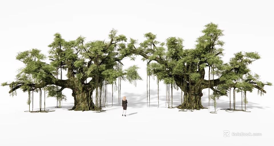 Majestic Large Trees With Lush Green Foliage And Hanging Aerial Roots Featuring Human Figure 3d model 