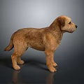 Lifelike Brown Dog Sculpture in Standing Pose with Detailed Features on Gray Background