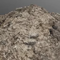 Rough Grayish Brown Natural Rock With Irregular Texture And Holes Surface