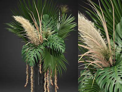 Lush Decorative Plant Arrangement With Monstera Palm Leaves And Pampas Grass And Hanging Elements 3d model