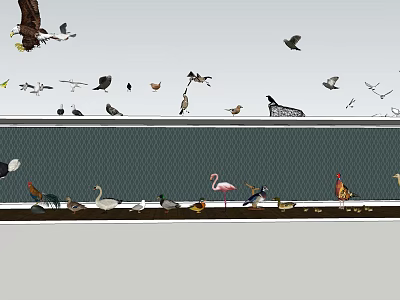 Various Flying Animals Including Eagles Ducks Flamingos Chickens in Fenced Area with Flying and Perching 3d model