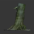 Ancient Tree Stump With Lush Green Moss On Trunk And Leaf Covered Ground