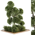 Lush Green Trees And Shrubs In Decorative Flower Bed And Planter Landscape Design