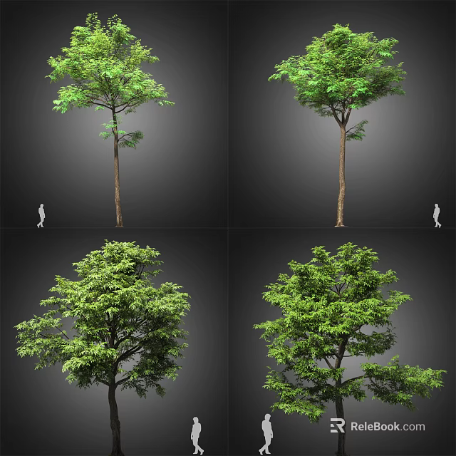 Arbor With Green Foliage Different Views And Human Figure For Size Reference 3d model