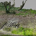 Natural Outdoor Landscape With Wooden Trees And Stone Block Structure On Brick Pavement