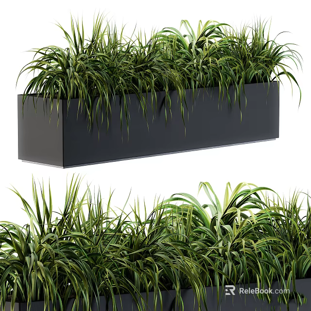 Decorative Black Rectangular Planter With Lush Green Grass Bonsai Plants Design 3d model