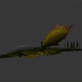Vibrant Orange Fish With Green Aquatic Plants On White Foam Base Against Dark Backdrop