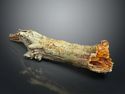 Natural Wooden Stone Log Piece With Rustic Texture And Weathered Surface 3d model