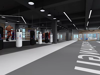 Modern Spacious Fitness Gym Training Area With Boxing Punching Bags And Equipment 3d model
