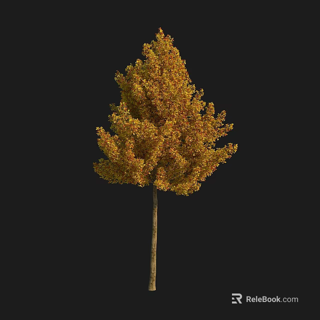 Autumn Arbor with Yellow and Orange Leaves Isolated on Black Background 3d model 