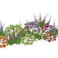 Vibrant Mixed Garden Flowers And Green Foliage With Purple Pink Yellow Orange Blooms