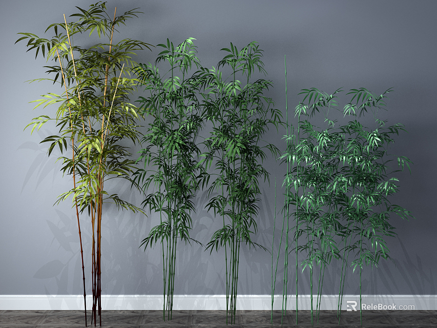Various Bamboo Plants With Tall Stems And Lush Green Leaves Against Gray Wall 3d model 