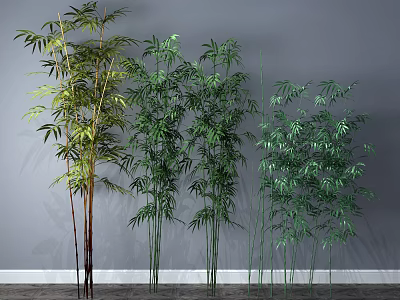 Various Bamboo Plants With Tall Stems And Lush Green Leaves Against Gray Wall 3d model