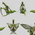 Game Movie Monster Character Green Insect Shaped Creature With Multiple Poses And Detailed Design