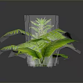3D Rendered Green Plants Collection With Various Foliage On Dark Background