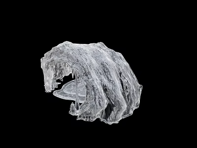 Transparent Ice Like Sculpture With Irregular Frosted Surface On Black Background 3d model