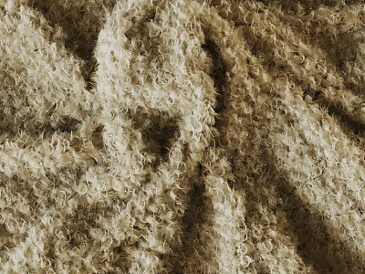 Beige Fluffy Fabric With Curly Texture In Close Up View Details 3d model