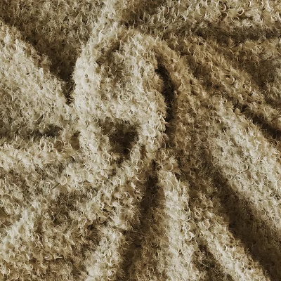Beige Fluffy Fabric With Curly Texture In Close Up View Details 3d model
