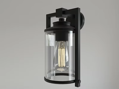 Modern Black Frame Wall Light With Clear Glass Shade And Vintage Bulb 3d model