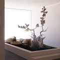 Modern Minimalist Indoor Landscape With Sculptural Tree Green Plants And Stones By Bright Window