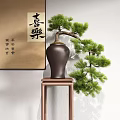Pine Bonsai Plant in Brown Ceramic Pot on Wooden Stand with Chinese Calligraphy Scroll