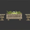 Bonsai Potted Plants with Stone Carved Planters Rectangular and Circular Shapes with Green Ferns