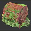 Lush Moss And Small Plants Growing On Tree Stump With Colorful Leaves