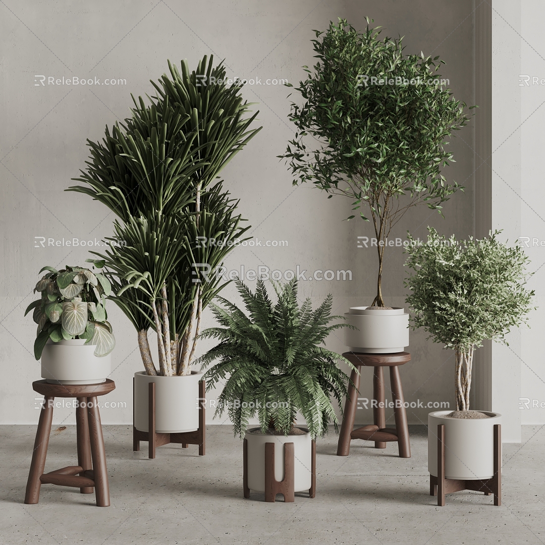 Modern potted plant combination 3d model