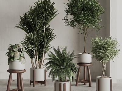 Modern potted plant combination 3d model