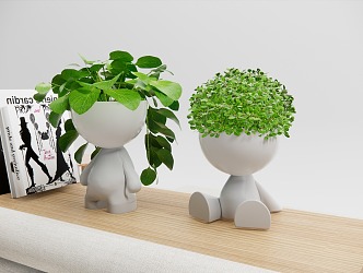 Modern ornaments potted plant 3d model