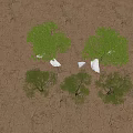 Trees Landscape Trees Street Trees Maple Trees Spring and Autumn Landscape Trees Courtyard Trees Pomegranate Trees Apple Trees Orange Trees Peach Trees 3d model