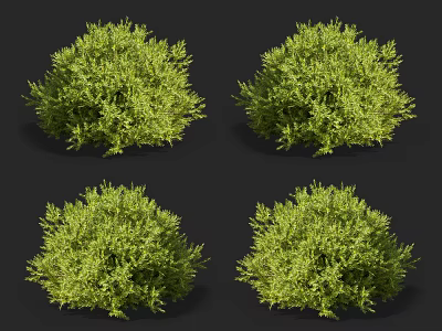 Lush Green Rounded Shrubs Displayed In Multiple Views Against Dark Background 3d model