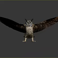 Realistic Owl With Spread Wings Standing On Dark Background And Detailed Feathers