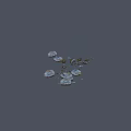 Natural Stones and Wooden Pieces in Various Sizes and Textures