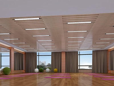 Modern Yoga Room model