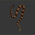 modern snake cobra venomous snake python 3d model