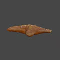 Orange Starfish With White Spots On Textured Surface And Gray Background
