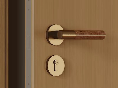 Brass And Wooden Door Handle On Modern Wooden Door With Keyhole Design 3d model